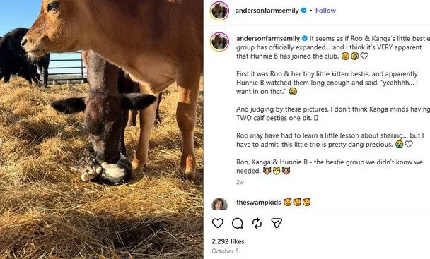 Дружба тварин Фото andersonfarmsemily.